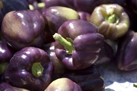 types of sweet peppers bell peppers and beyond