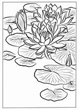 Coloring Water Lily Pages Drawing Flower Koson Ohara Printable Categories Getdrawings sketch template