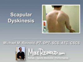 scapular dyskinesis easy workouts scapular scapula exercises