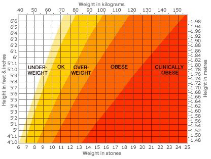 healthy weight chart understanding     healthy weight chart