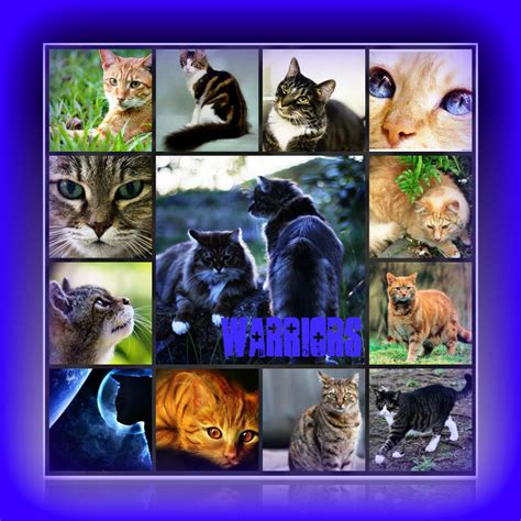 Warrior Cats Warriors Novel Series Photo 32056040