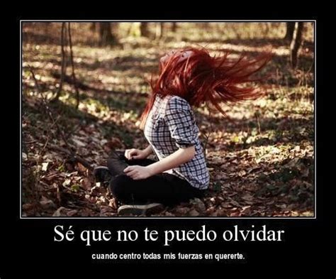 mira frases  olvidar  amor  reflexiones