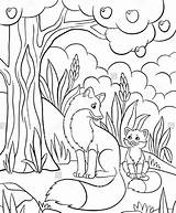 Coloring Kindergarten Pages Animal Colouring Halloween sketch template