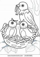 Nest Coloring Bird Drawing Birds Getdrawings Two Getcolorings Christmas Pages sketch template