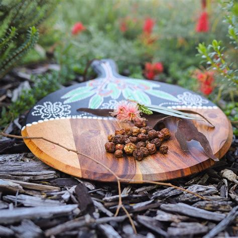 Learn About Aboriginal Bush Foods Wa Parks Foundation