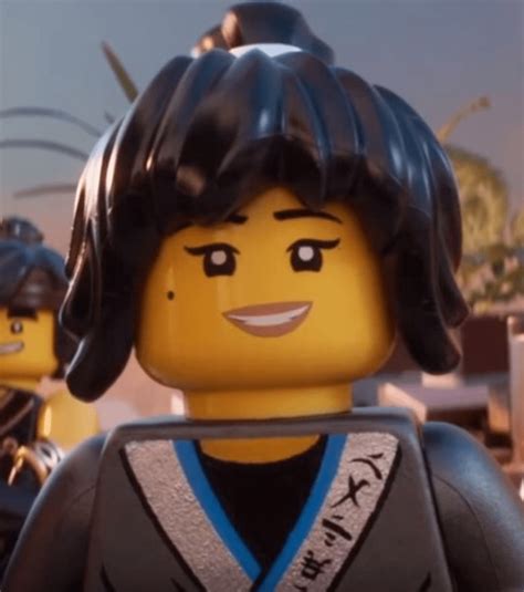 Kurve Ähnlichkeit Weg Lego Ninjago Nya Sonntag Durch Befreiung