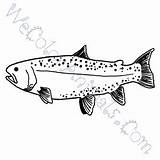 Coloring Trout Pages Click sketch template
