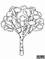 Tree Coloring Pages Fall sketch template