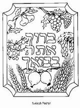 Coloring Kids Sukkot Pages Jewish Tree Sukkah Colouring Color Sheets Fig Deuteronomy Seven Succos Books Species Hebrew Printable Crafts Adults sketch template