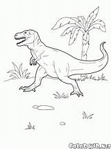 Tyrannosaurus Malvorlagen Kolorowanka Dinosauri Dinossauros Pteranodon Baryonyx Coloriage Dinozaury Protoceratops Dinosaurier Colorkid Colorir Diplodocus Despertad Dinosaurs Brachiosaurus Pterodactyl Tiranosaurio Dinosaures sketch template