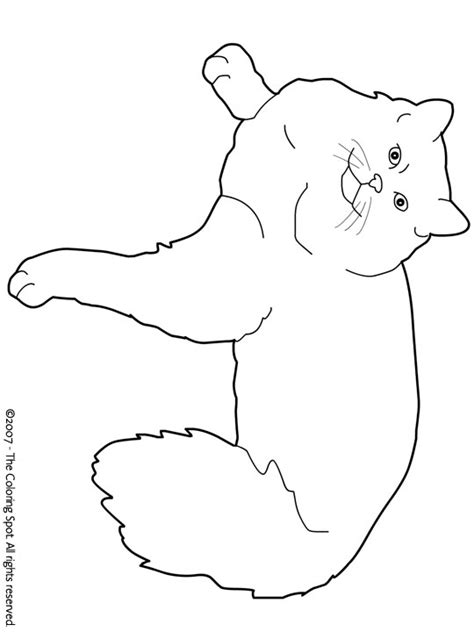 ragdoll coloring page audio stories  kids  coloring pages