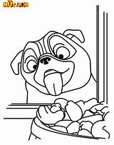 Coloring Pages Pug Printable Nut Job Dog Az Colouring Color Books Print Popular Getdrawings Getcolorings Azcoloring Choose Board Kids Coloringhome sketch template