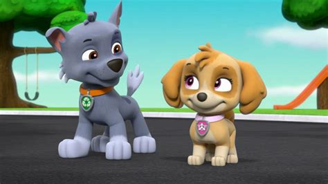 Paw Patrol S4e412 Pups Party With Bats Pups Save