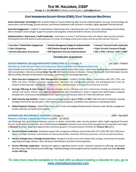 cio executive resume sample chameleon resumes