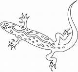 Lizard Coloring Pages Monitor Print sketch template