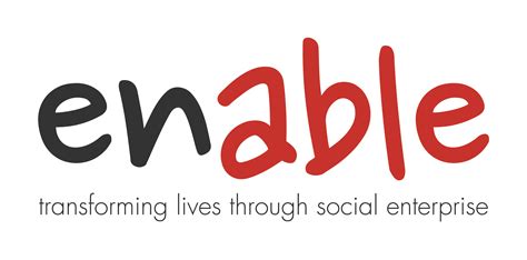 chair enable social enterprises  enable social enterprises volunteers