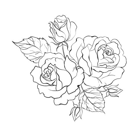 beautiful bouquet  roses coloring pages