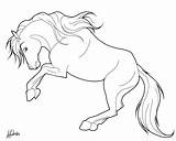 Mustang Horse Coloring Pages Ford Drawing Getdrawings sketch template
