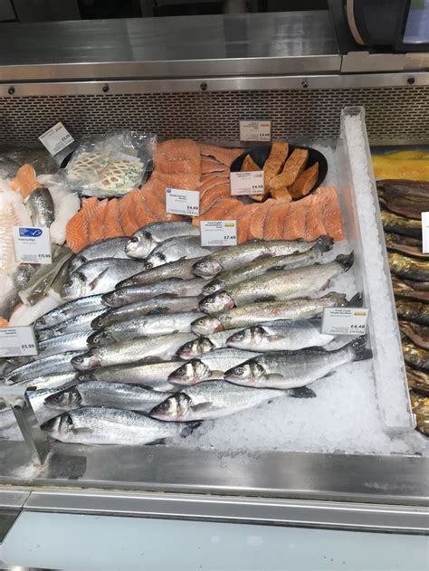 pin  ben daish  fish counter displays fish food counter display