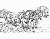 Colorare Cavallo Aratro Tiro Aratura Horse Plow Terreno Lavora Drawings Drawing Puledro sketch template