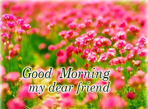 good morning wishes   dear friend