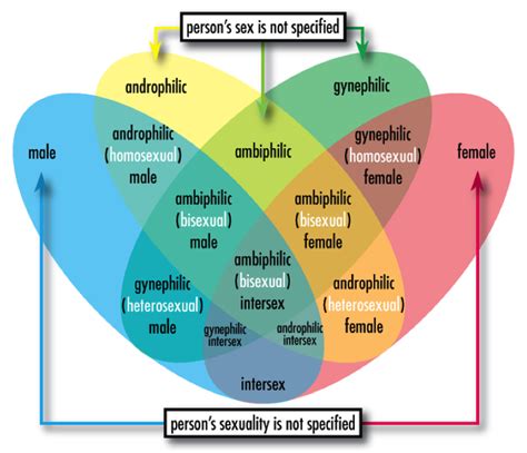 overview of sexual orientations sexinfo online