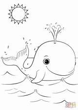 Whale Coloring Cartoon Cute Pages Colouring Whales Clipart Printable Drawing Da Killer Kids Colorare Immagini Balena Sheets Printables Con Animals sketch template