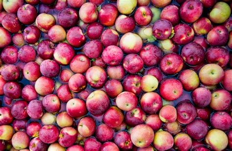 10 Best Apples For Apple Pie New England