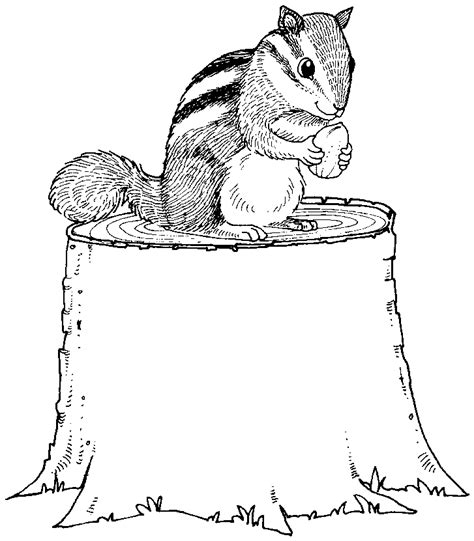 chipmunks coloring pages coloring home