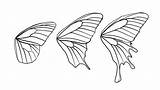 Butterfly Wings Wing Draw Shape Clipart Patterns Butterflies Vector Drawing Borboleta Shapes Asas Pattern Animals Sketch Tutsplus Anatomy Step Desenhos sketch template
