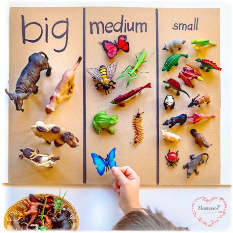 safariltd animal size sorting montessori activities preschool