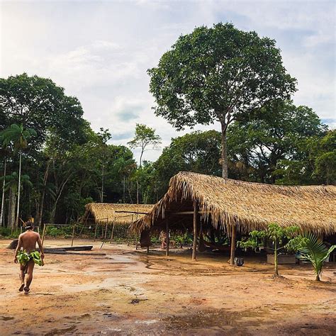 Argentina Visit A Guarani Tribe By Vebo Cultural Experience