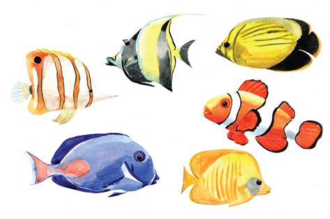 watercolor tropical fish set illustrations  creative market