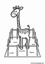Cage Giraffe Coloring Animal Pages Printable sketch template