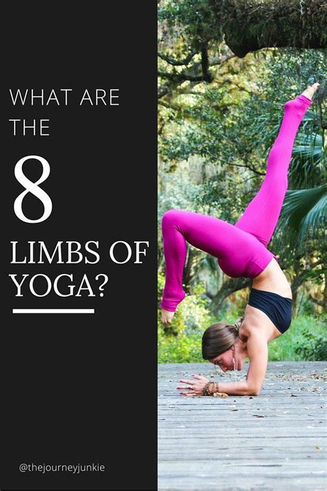 limbs  yoga  limbs  yoga yoga yoga poses