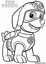 Paw Patrol Coloring Zuma Pages Print Rocky Drawing Printable Color Getcolorings Getdrawings Popular Coloringhome Pdf sketch template