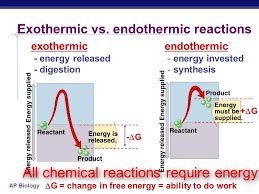 organic chemistry    exothermic  endothermic reactions chemistry stack