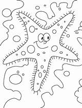 Starfish Coloring Pages Outline Color Printable Star Glaring Kids Fish Print Coloring2print Sheet sketch template