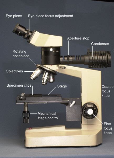 optical microscopy  specimen   reflection microscope