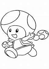 Toadette Toad Wii Ausmalbild Luigi Nintendo sketch template
