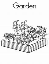 Garden Coloring Pages Vegetable Template sketch template