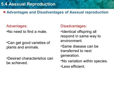 what are the advantages of sexual over asexual reproduction