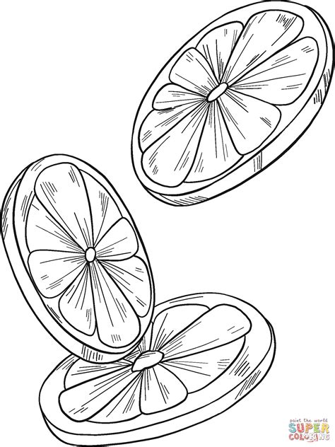 orange slices coloring page  printable coloring pages