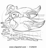 Duck Wood Clipart Swimming Coloring Cartoon Outlined Pair Vector Picsburg Small Stock sketch template