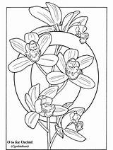Coloring Pages Nature Photobucket Orchid Numbers Colour sketch template