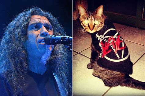 band   metal archives  metal cats