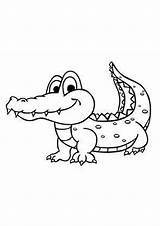 Coloring Crocodile Alligator Indiaparenting sketch template