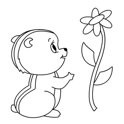 chipmunk coloring pages  coloring pages  kids coloring pages