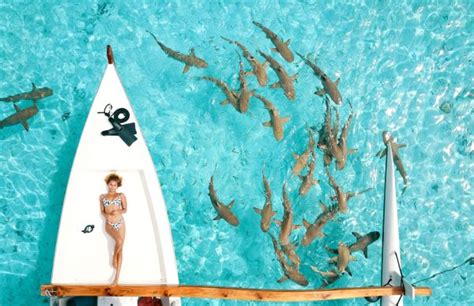 lookbook moana bikini take you on a summer escape with vivacious new range lifewithoutandy