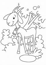 Goat Coloring Pages Printable Tree Under Kids Farm Animal Bell Colouring Dare Ring Cute Animals Worksheets Print Toddler Kid Parentune sketch template